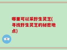 哪里可以采野生灵芝(寻找野生灵芝的秘密地点)