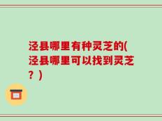 泾县哪里有种灵芝的(泾县哪里可以找到灵芝？)