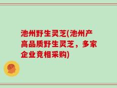 池州野生灵芝(池州产高品质野生灵芝，多家企业竞相采购)