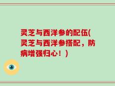 灵芝与西洋参的配伍(灵芝与西洋参搭配，防病增强归心！)
