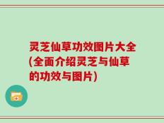 灵芝仙草功效图片大全(全面介绍灵芝与仙草的功效与图片)