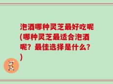泡酒哪种灵芝最好吃呢(哪种灵芝最适合泡酒呢？最佳选择是什么？)