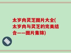 太岁肉灵芝图片大全(太岁肉与灵芝的完美结合——图片集锦)