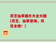 灵芝仙草图片大全大图(灵芝、仙草登场，尽览全貌！)