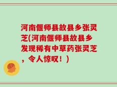 河南偃师县故县乡张灵芝(河南偃师县故县乡发现稀有中草药张灵芝，令人惊叹！)