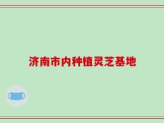 济南市内种植灵芝基地