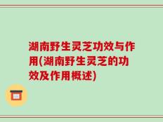 湖南野生灵芝功效与作用(湖南野生灵芝的功效及作用概述)
