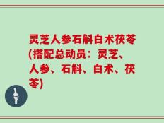 灵芝人参石斛白术茯苓(搭配总动员：灵芝、人参、石斛、白术、茯苓)