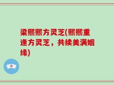 梁熙熙方灵芝(熙熙重逢方灵芝，共续美满姻缘)