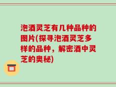泡酒灵芝有几种品种的图片(探寻泡酒灵芝多样的品种，解密酒中灵芝的奥秘)