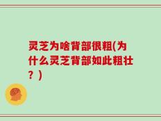灵芝为啥背部很粗(为什么灵芝背部如此粗壮？)