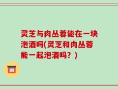 灵芝与肉丛蓉能在一块泡酒吗(灵芝和肉丛蓉能一起泡酒吗？)