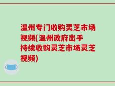 温州专门收购灵芝市场视频(温州政府出手 持续收购灵芝市场灵芝视频)