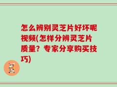 怎么辨别灵芝片好坏呢视频(怎样分辨灵芝片质量？专家分享购买技巧)