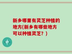 新乡哪里有灵芝种植的地方(新乡有哪些地方可以种植灵芝？)