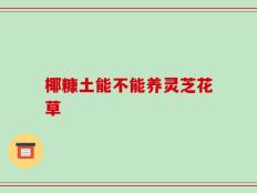 椰糠土能不能养灵芝花草