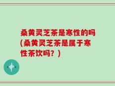 桑黄灵芝茶是寒性的吗(桑黄灵芝茶是属于寒性茶饮吗？)