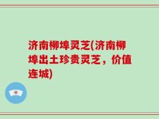济南柳埠灵芝(济南柳埠出土珍贵灵芝，价值连城)