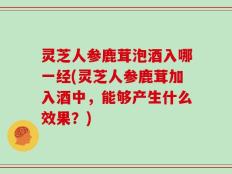 灵芝人参鹿茸泡酒入哪一经(灵芝人参鹿茸加入酒中，能够产生什么效果？)
