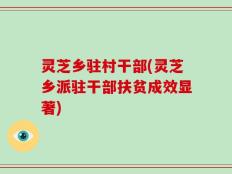 灵芝乡驻村干部(灵芝乡派驻干部扶贫成效显著)