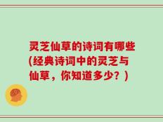 灵芝仙草的诗词有哪些(经典诗词中的灵芝与仙草，你知道多少？)