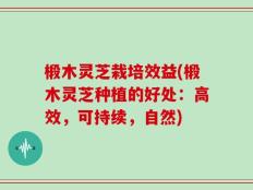 椴木灵芝栽培效益(椴木灵芝种植的好处：高效，可持续，自然)