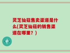 灵芝仙菇售卖渠道是什么(灵芝仙菇的销售渠道在哪里？)