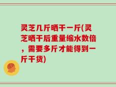 灵芝几斤晒干一斤(灵芝晒干后重量缩水数倍，需要多斤才能得到一斤干货)