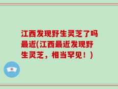 江西发现野生灵芝了吗最近(江西最近发现野生灵芝，相当罕见！)
