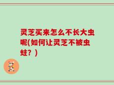 灵芝买来怎么不长大虫呢(如何让灵芝不被虫蛀？)