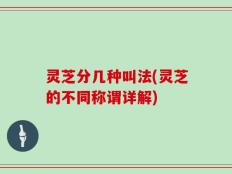 灵芝分几种叫法(灵芝的不同称谓详解)