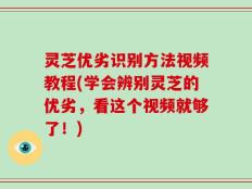 灵芝优劣识别方法视频教程(学会辨别灵芝的优劣，看这个视频就够了！)