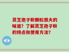 灵芝孢子粉颗粒很大的味道？了解灵芝孢子粉的特点和使用方法？