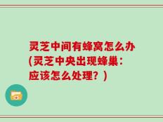 灵芝中间有蜂窝怎么办(灵芝中央出现蜂巢：应该怎么处理？)