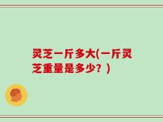 灵芝一斤多大(一斤灵芝重量是多少？)