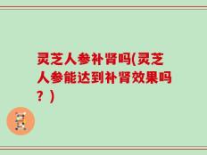 灵芝人参补肾吗(灵芝人参能达到补肾效果吗？)