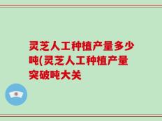 灵芝人工种植产量多少吨(灵芝人工种植产量突破吨大关