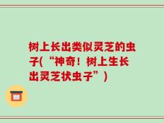 树上长出类似灵芝的虫子(“神奇！树上生长出灵芝状虫子”)