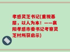 孝感灵芝书记(重视基层，以人为本！——襄阳孝感市委书记考察灵芝村所获启示)