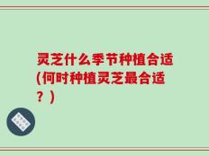 灵芝什么季节种植合适(何时种植灵芝最合适？)