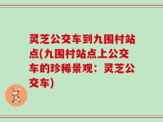 灵芝公交车到九围村站点(九围村站点上公交车的珍稀景观：灵芝公交车)