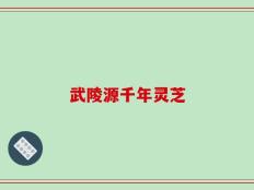 武陵源千年灵芝