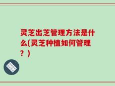 灵芝出芝管理方法是什么(灵芝种植如何管理？)