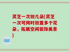 灵芝一次放几朵(灵芝一次可同时放置多个花朵，拓展空间装饰美景)