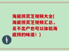 海底捞灵芝视频大全(海底捞灵芝视频汇总，足不出户也可以体验海底捞的味道！)