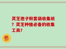 灵芝孢子粉套袋收集纸？灵芝种植必备的收集工具？