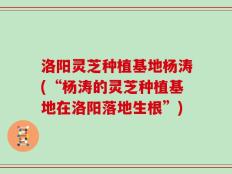 洛阳灵芝种植基地杨涛(“杨涛的灵芝种植基地在洛阳落地生根”)