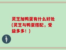 灵芝加鸭蛋有什么好处(灵芝与鸭蛋搭配，受益多多！)