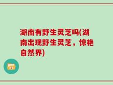 湖南有野生灵芝吗(湖南出现野生灵芝，惊艳自然界)