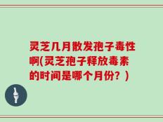 灵芝几月散发孢子毒性啊(灵芝孢子释放毒素的时间是哪个月份？)